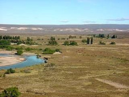 Imágenes del proyecto