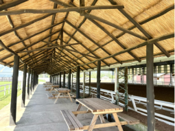Imágenes del proyecto
