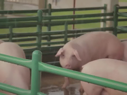 Imágenes del proyecto