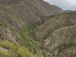 Imágenes del proyecto