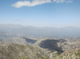 Imágenes del proyecto