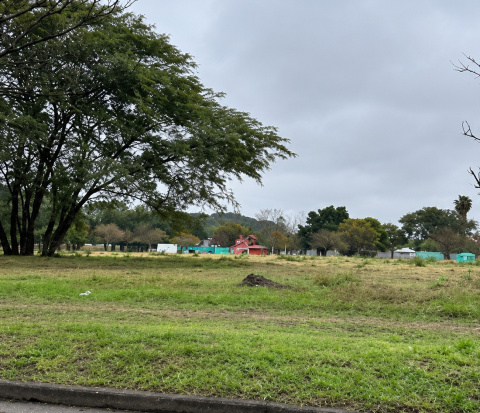 Subasta destacada